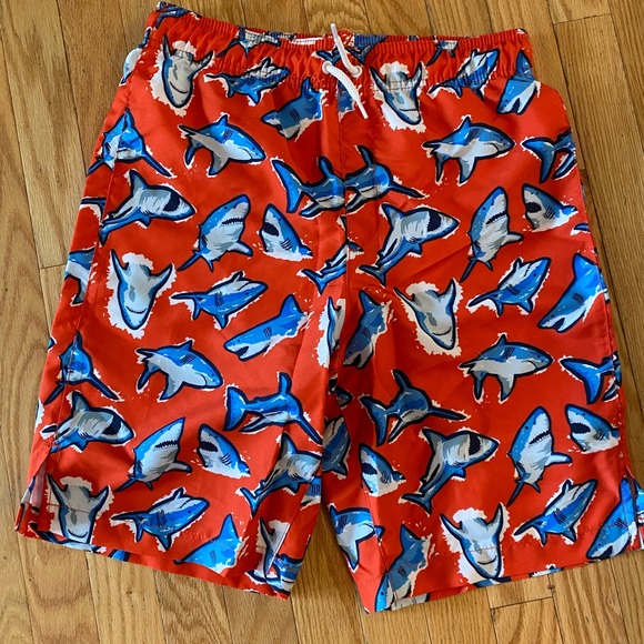 Boys Bathing Suit (size 16) - Picture 3 of 5